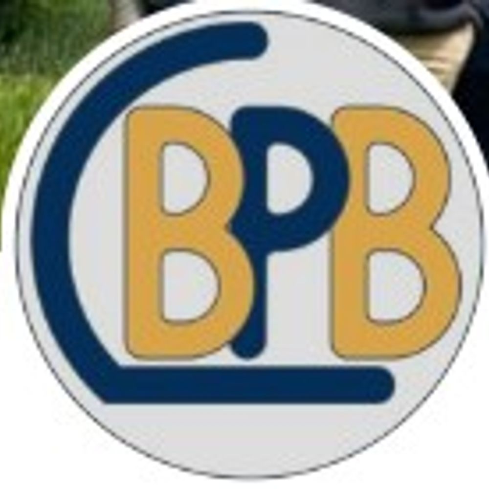 Bourissou's group - LBPB