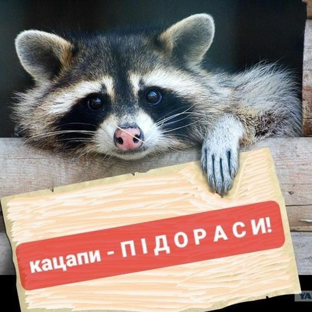 ЄнотікЗробитьБоляче