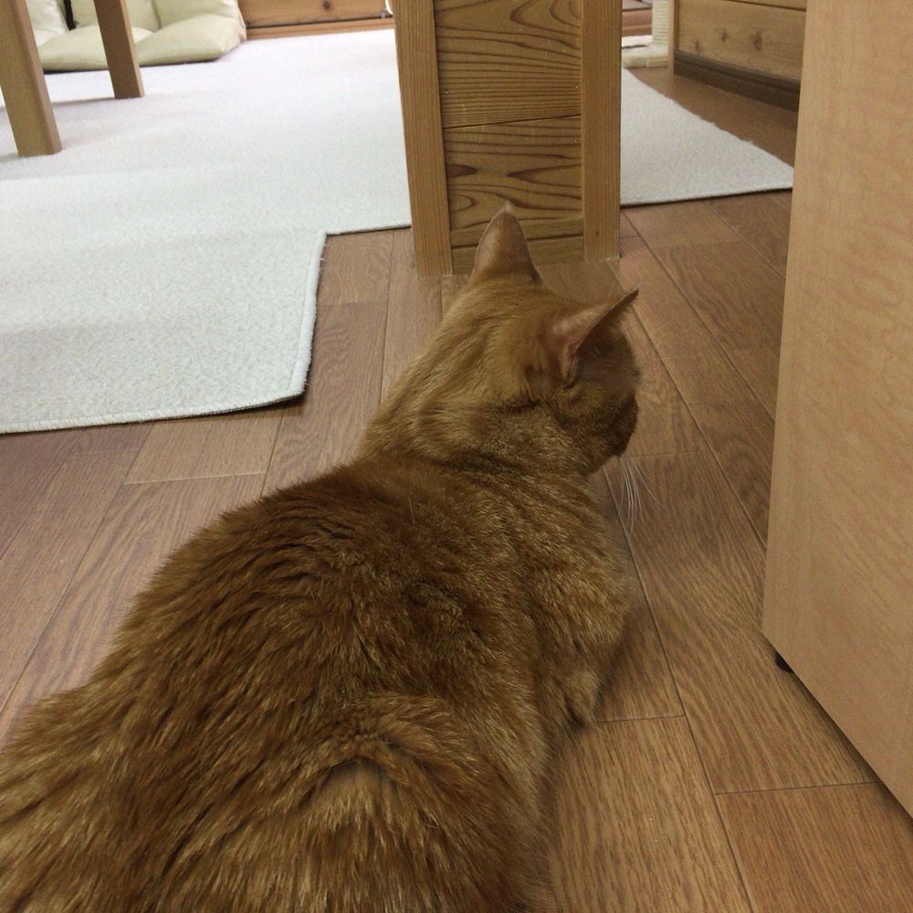 いのまってぃー