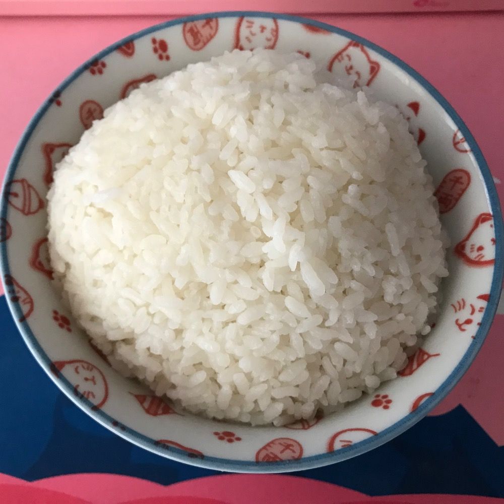 Pfotenabdruck im Reis