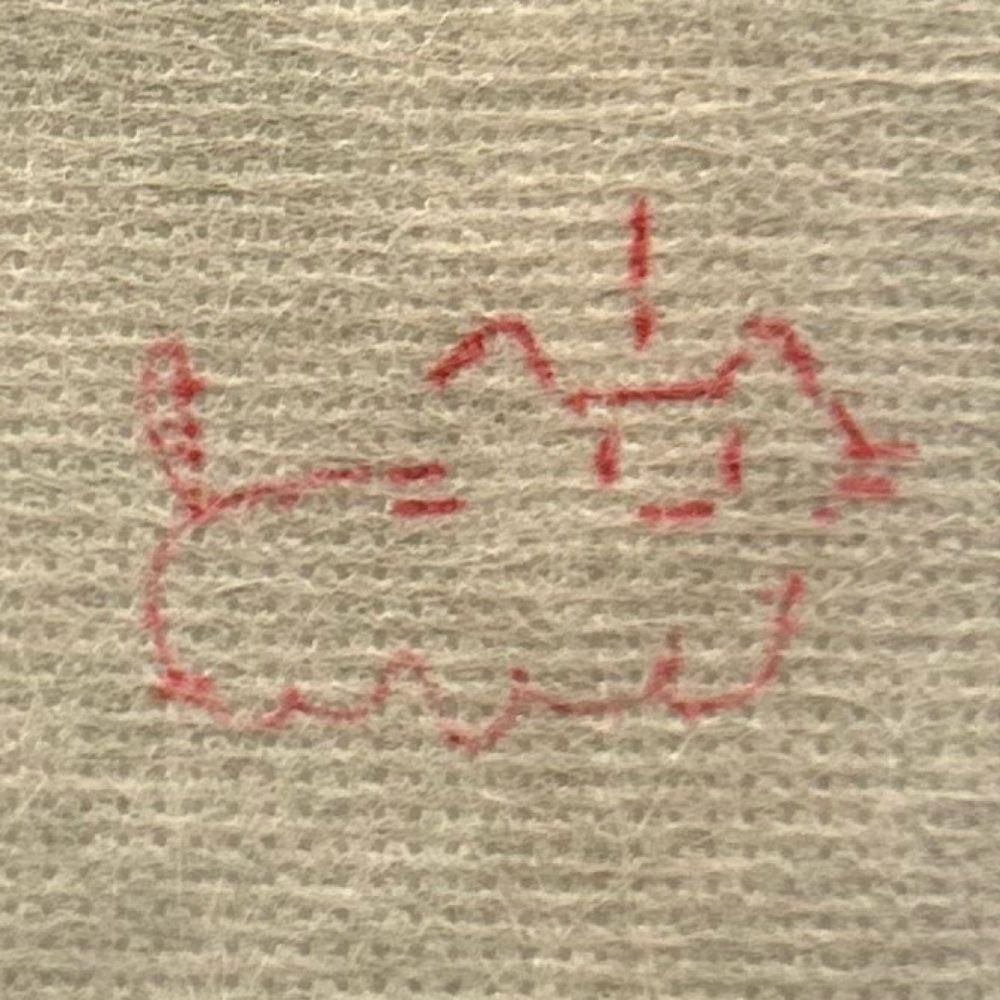ねこもと2