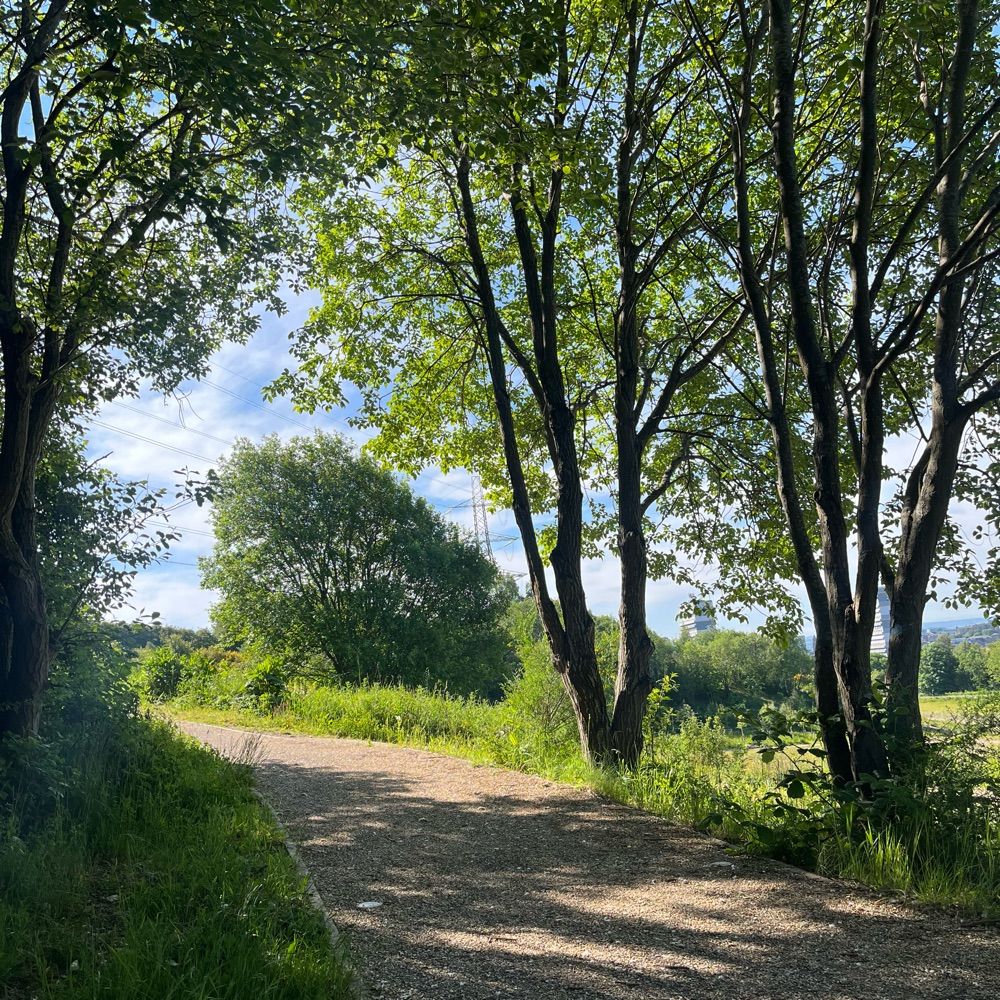 Hamiltonhill Claypits LNR