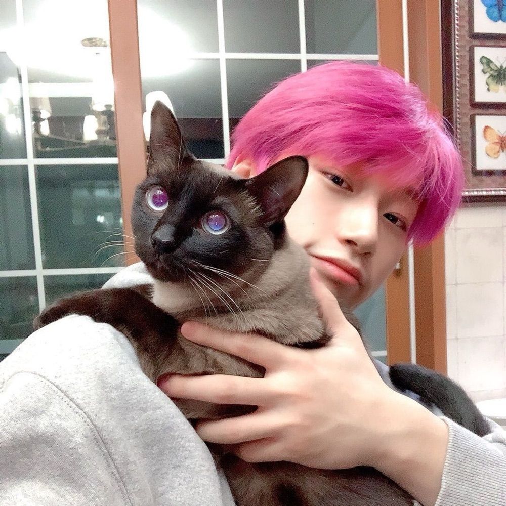 BUBU