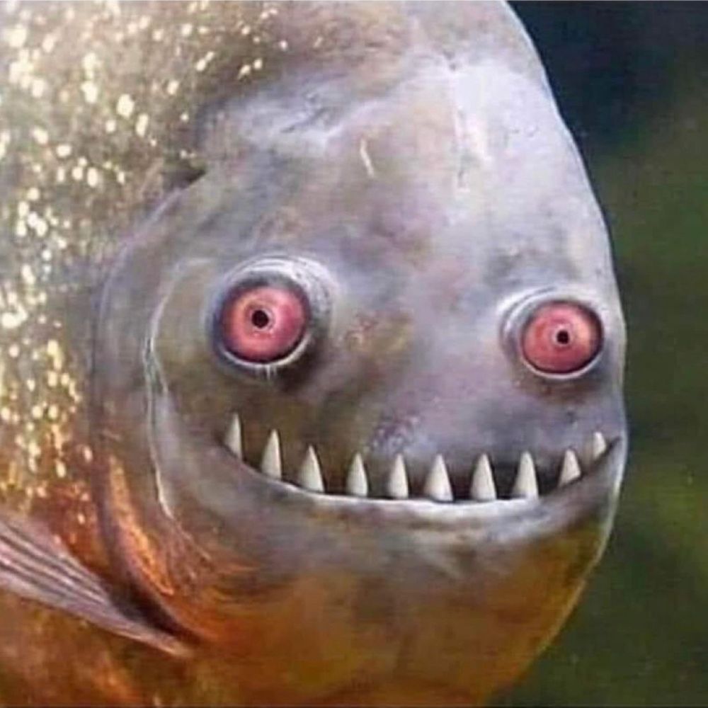 Paul