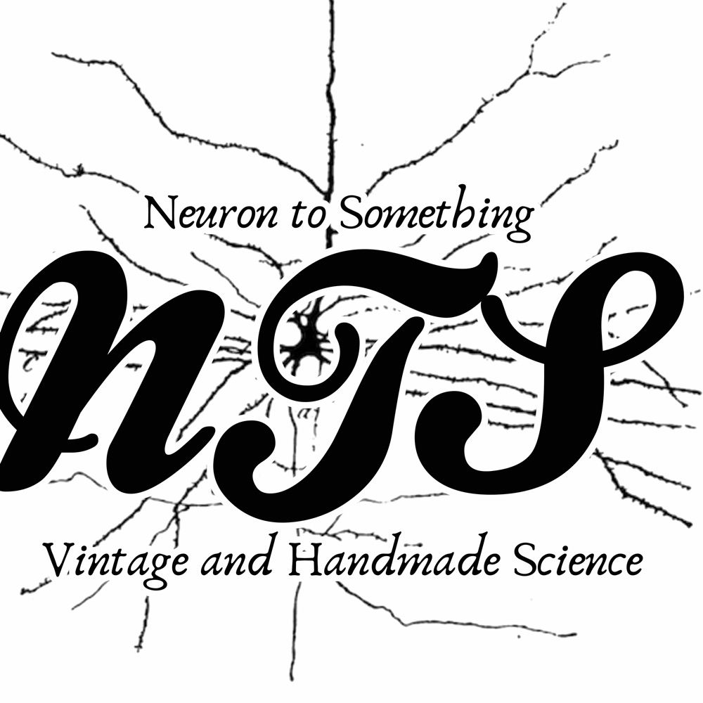 Neuron to Something