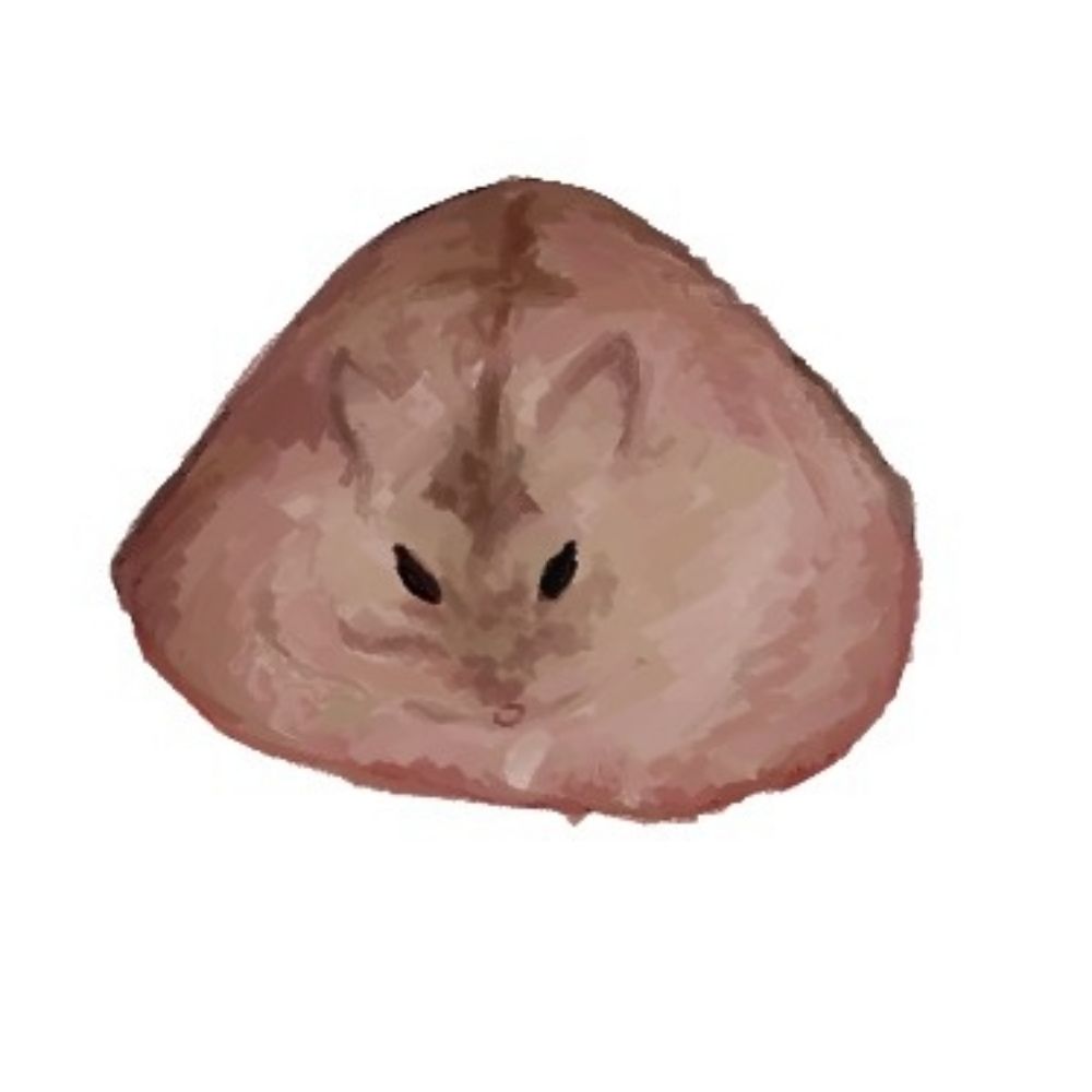 안