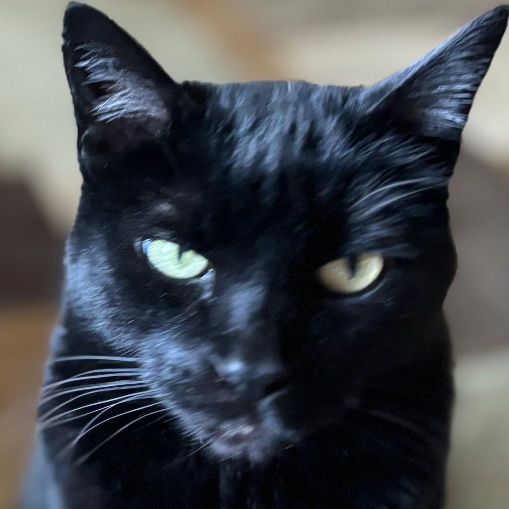 Von