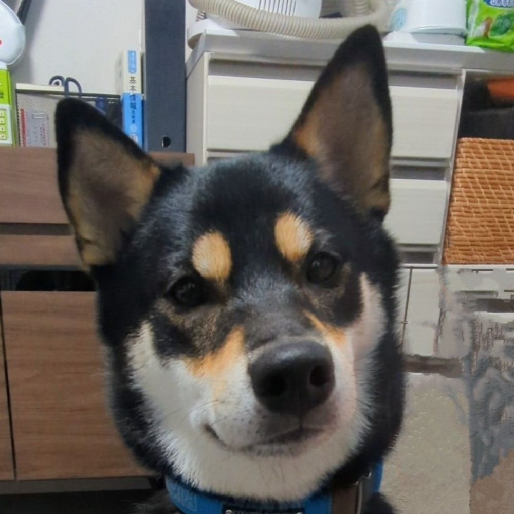 いよ