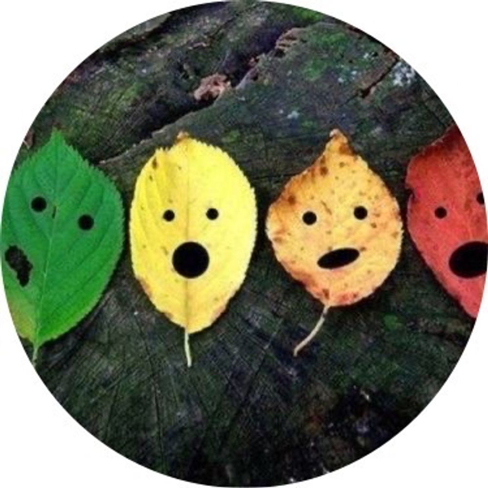 Profile avatar