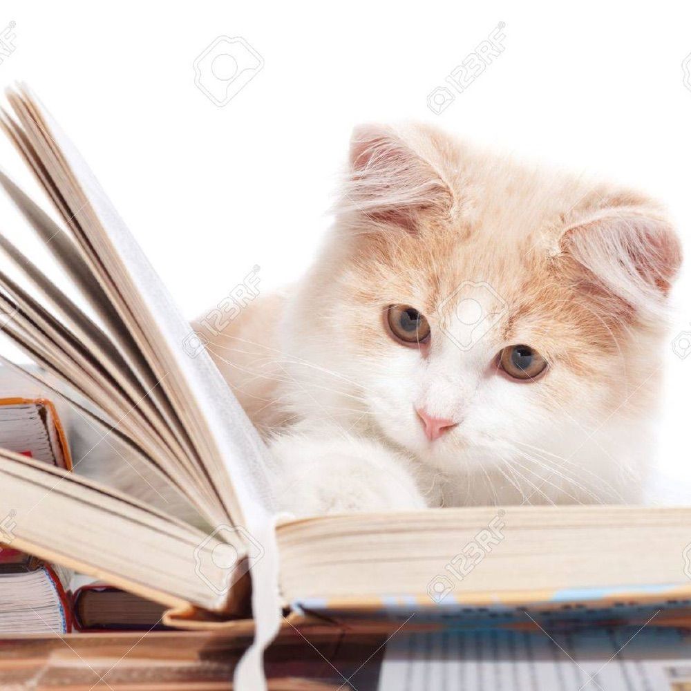 Profile picture bookishkitty.bsky.social