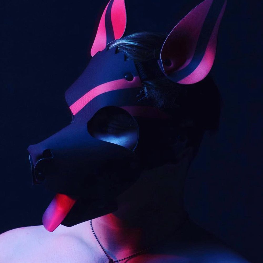 Pup Davy
