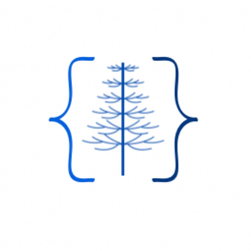 Araucaria Cybersecurity and Software