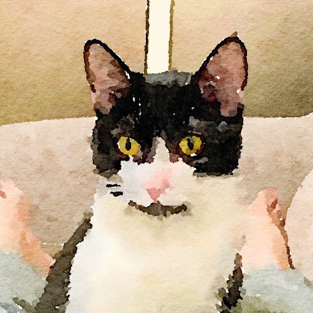 曉徹