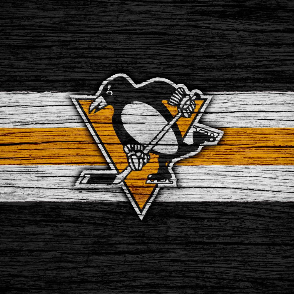 PITTSBURGH PENGUINS FAN