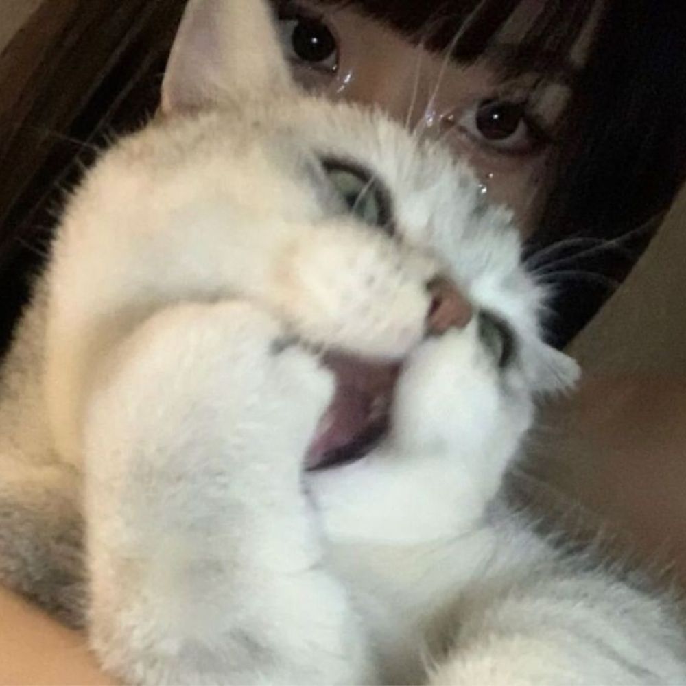 yas