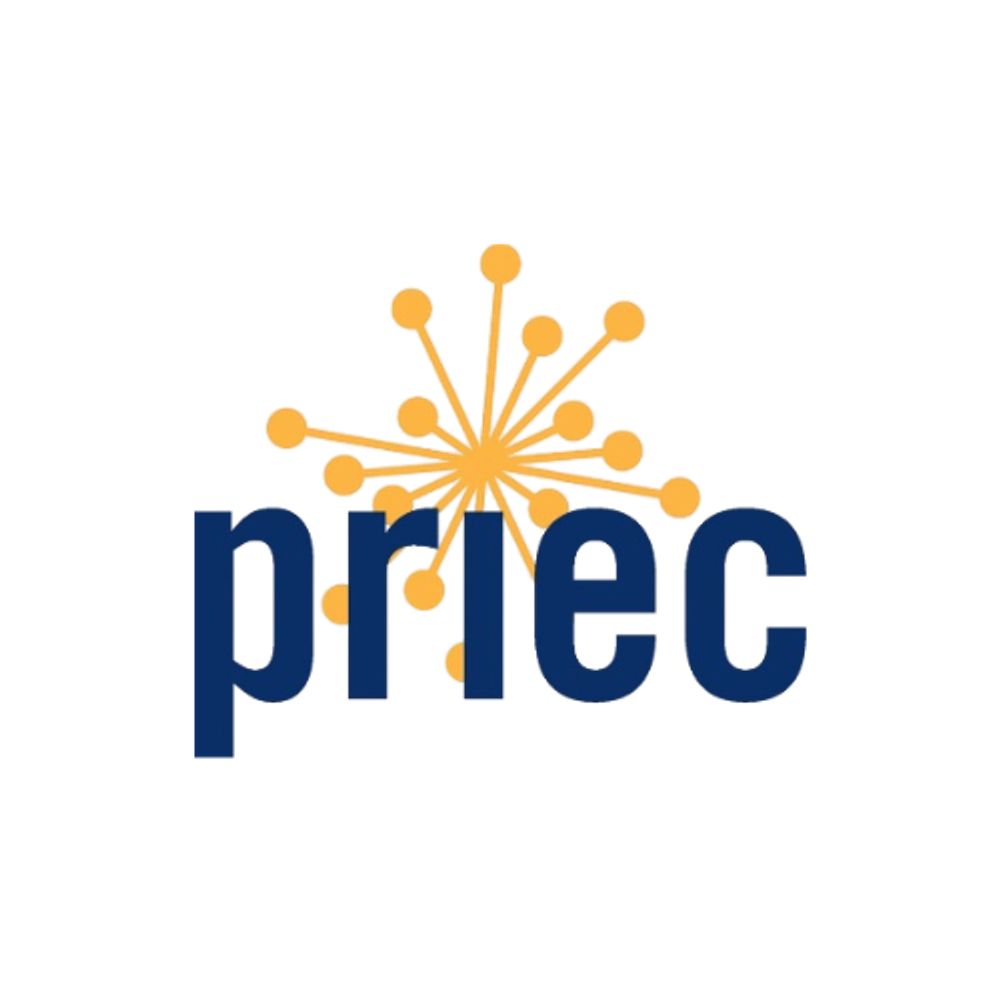 Politics of Race, Immigration, and Ethnicity Consortium