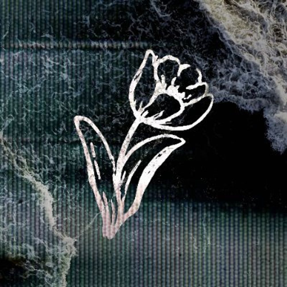 Undercurrent Recordings