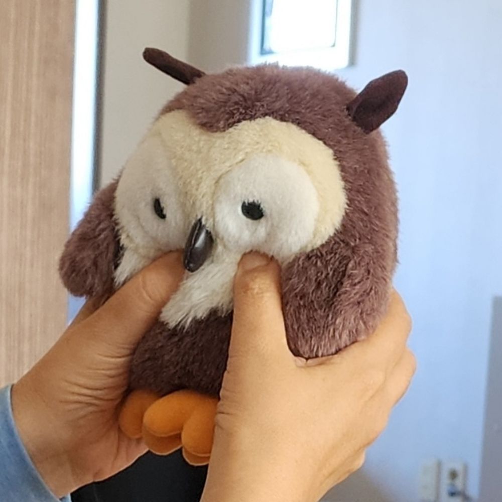 버섯게