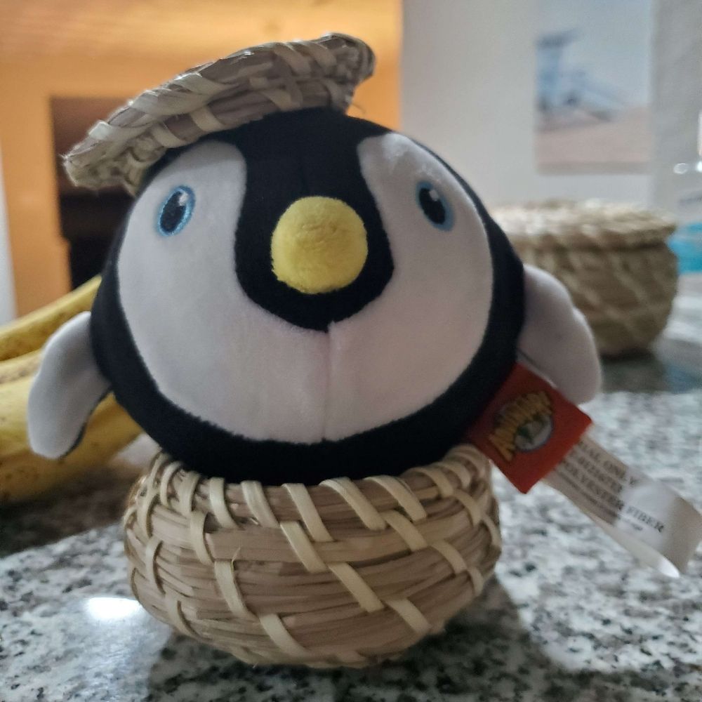 ⚠️ WAMP | Ryot 🐧