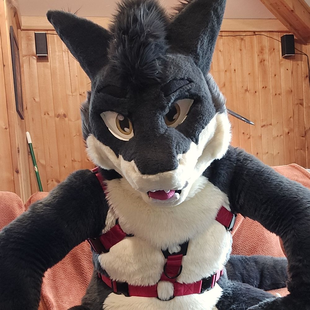 Spyke the fluff derg