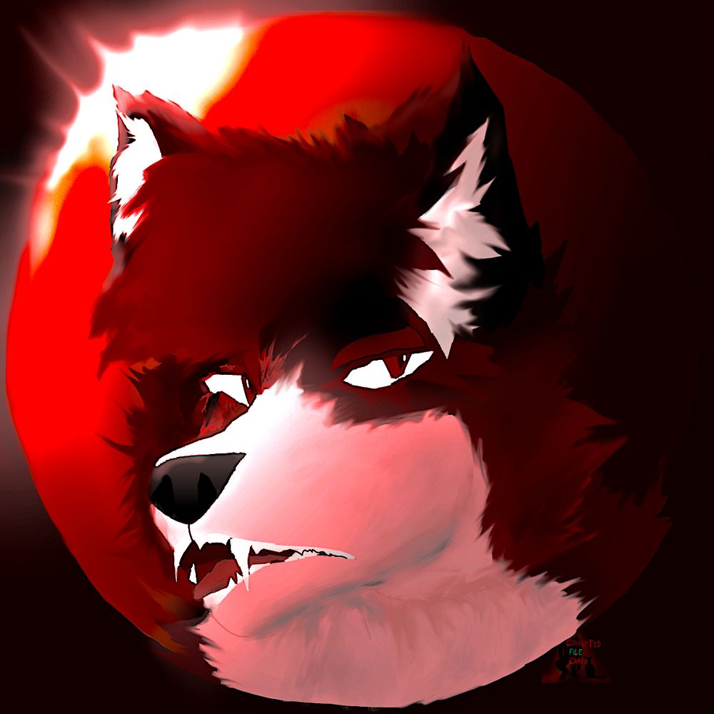 CorruptedFile_Error