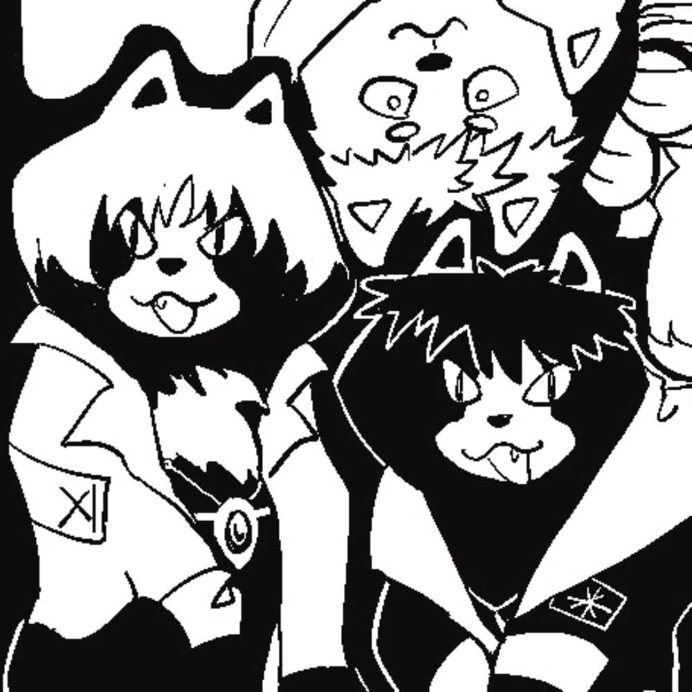 RaccoonAttack🦝