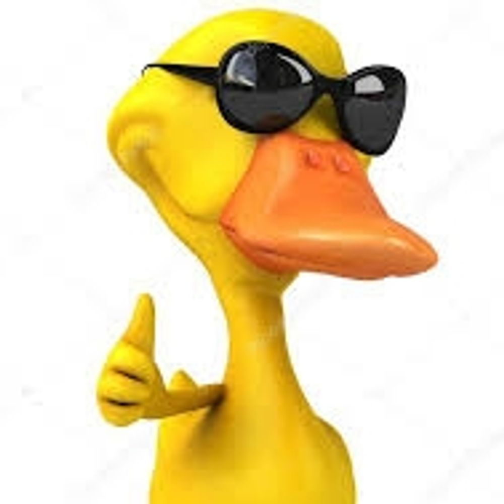 Pato