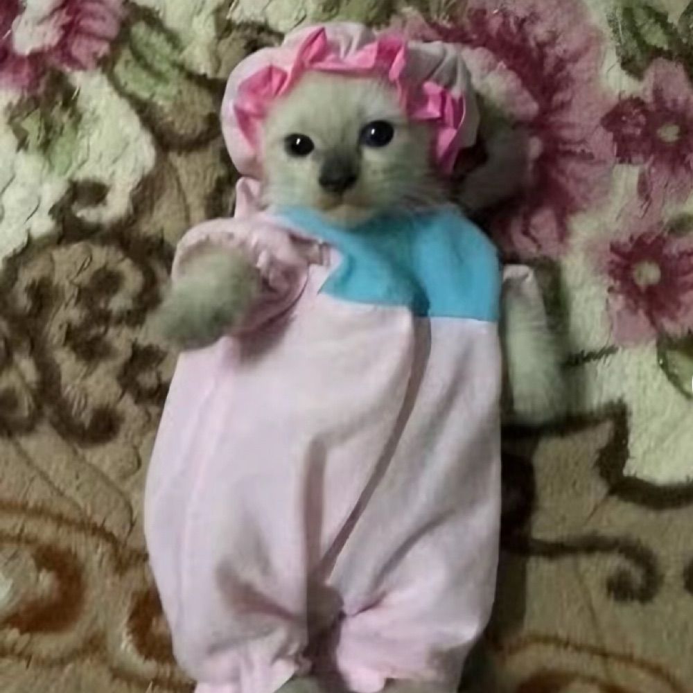 katri