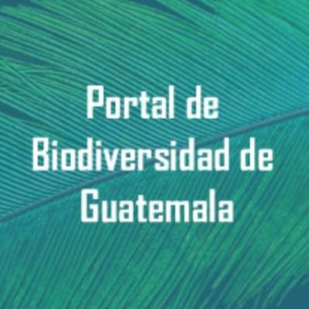 Portal de Biodiversidad de Guatemala 🇬🇹