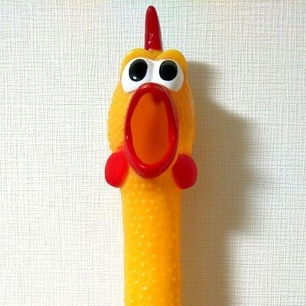 C-hicken🐔