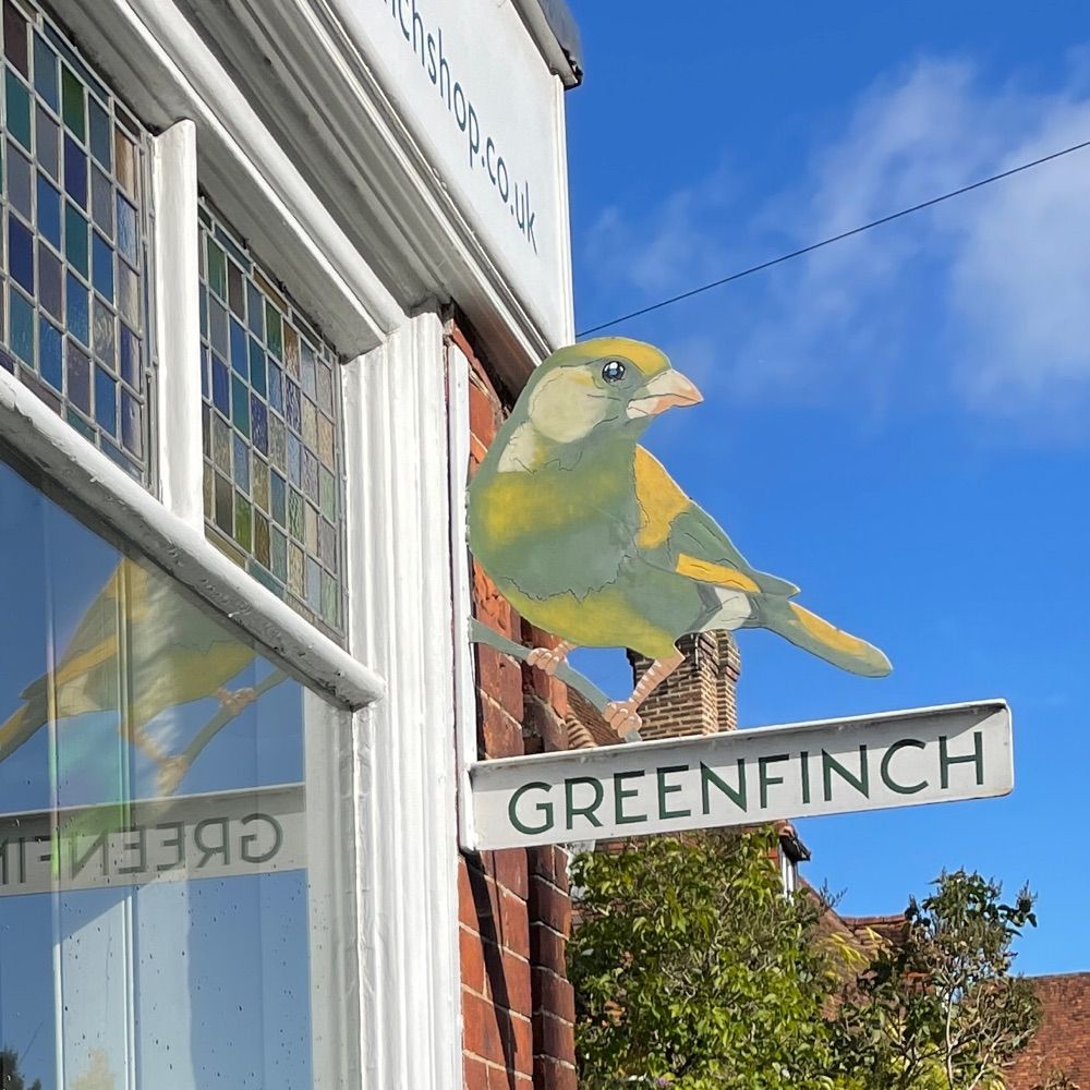 Greenfinch Ticehurst