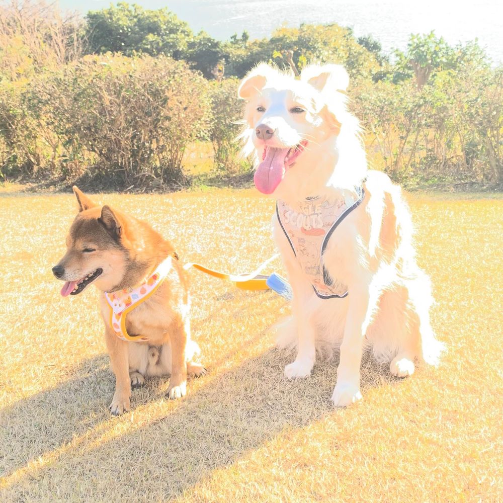 サンナナ