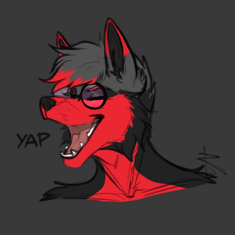 ♥DexyFoxCoon♥