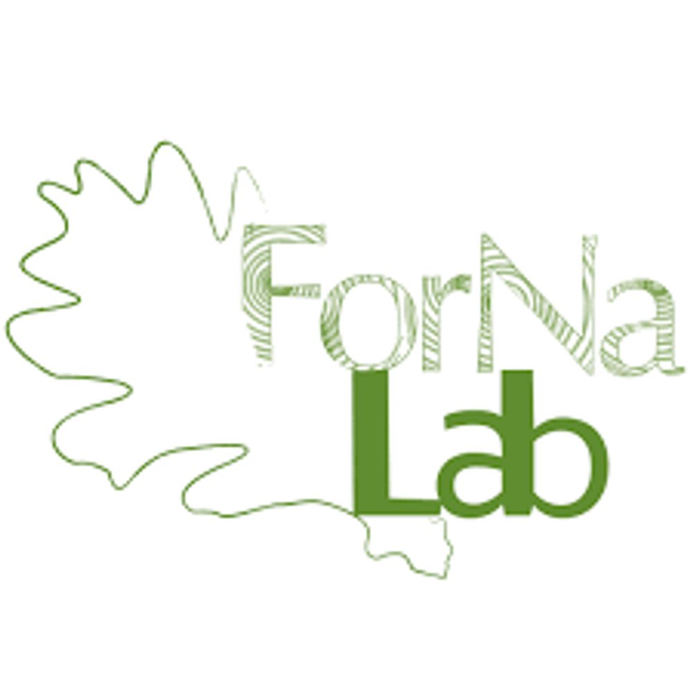 ForNaLab