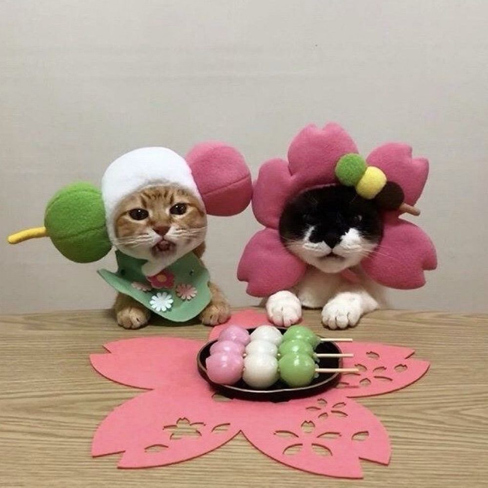 🌷