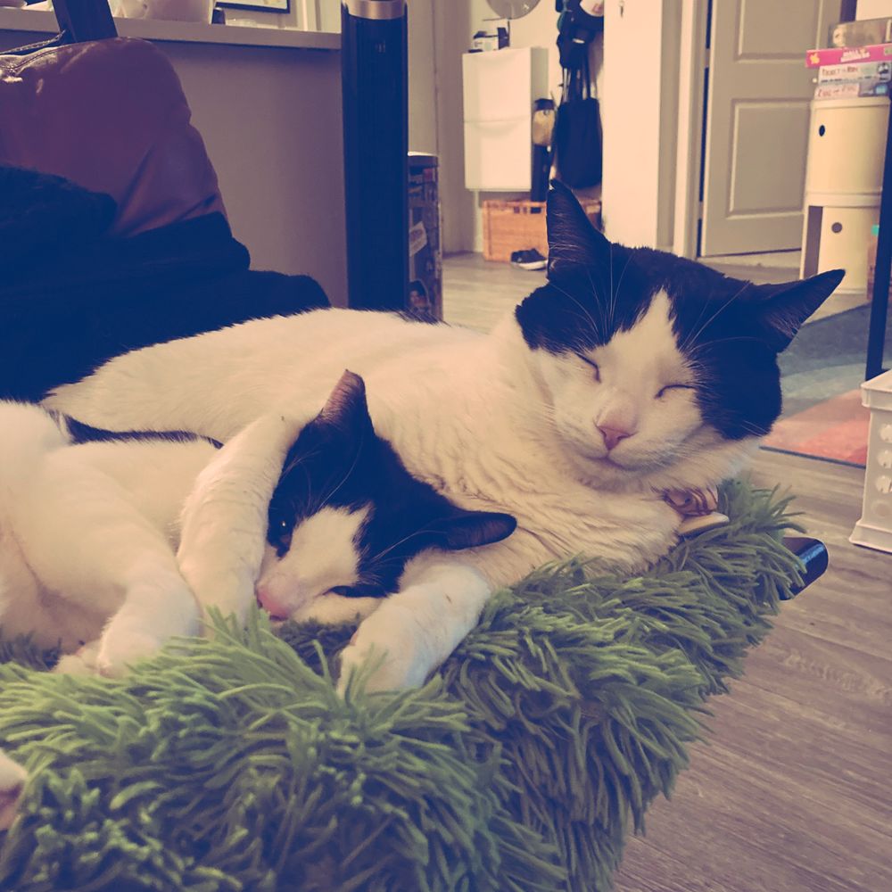Pudge and Morty