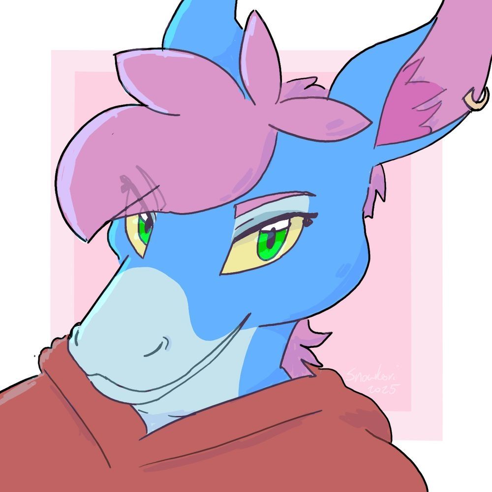 Kyra the Donkey