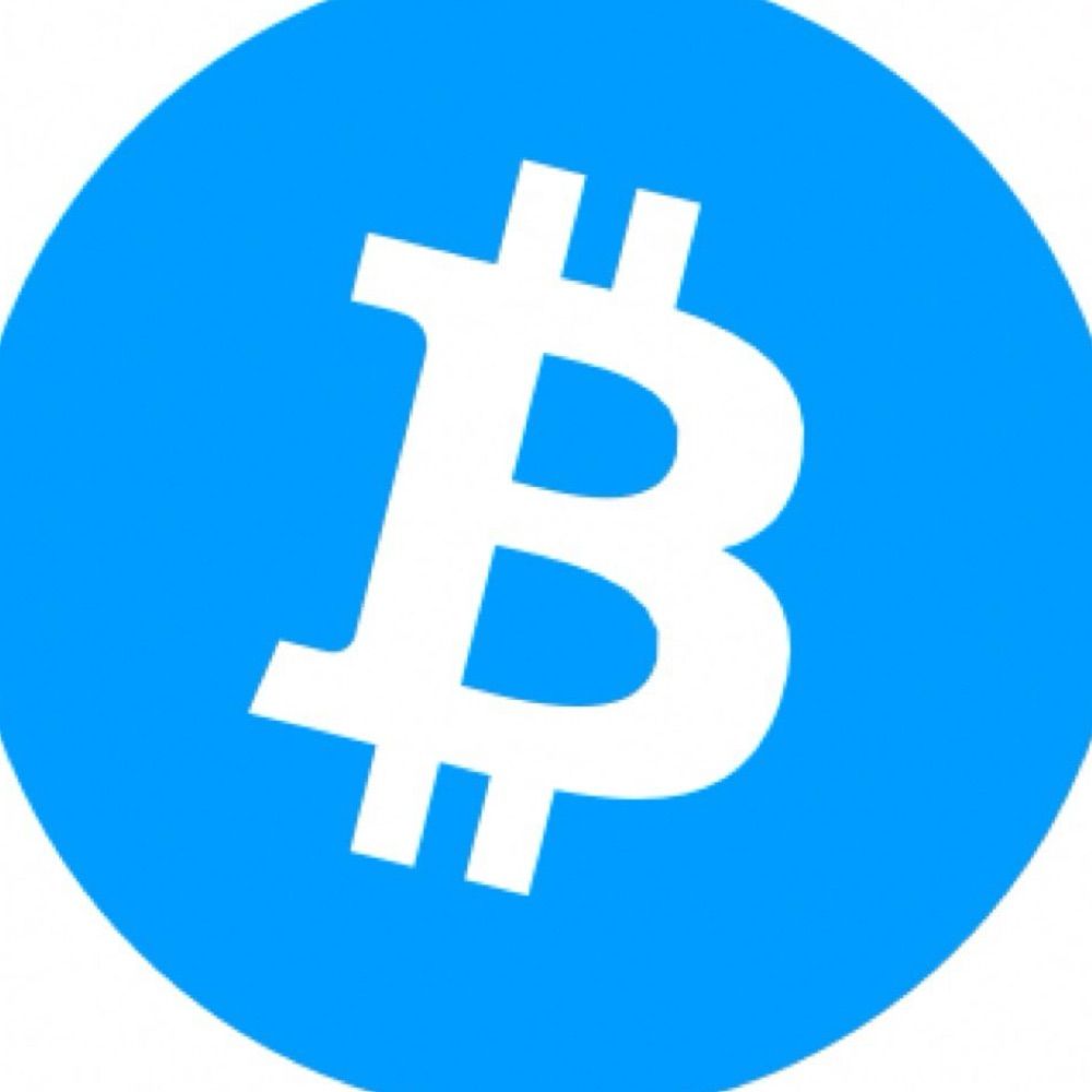 Profile picture thebluebitcon.bsky.social