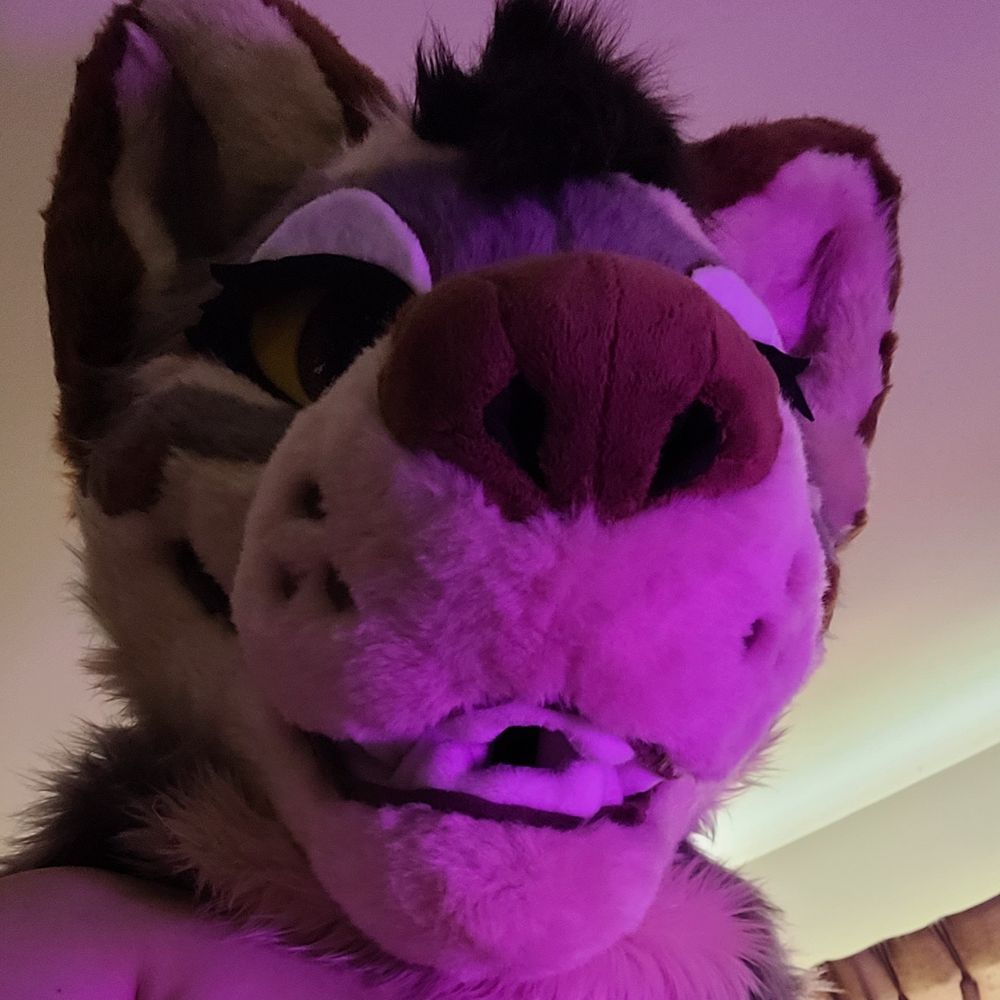 Moostrogenized wolf 🏳️‍⚧️🐮🩷