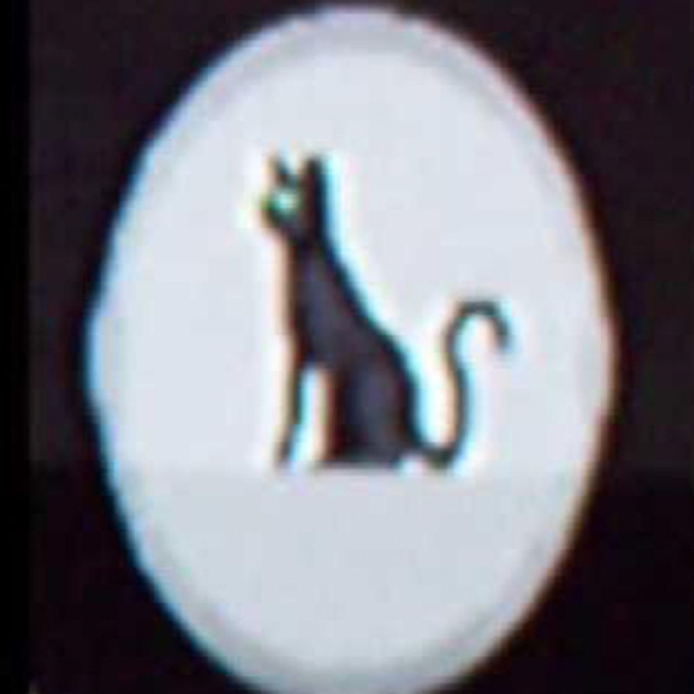 Profile avatar