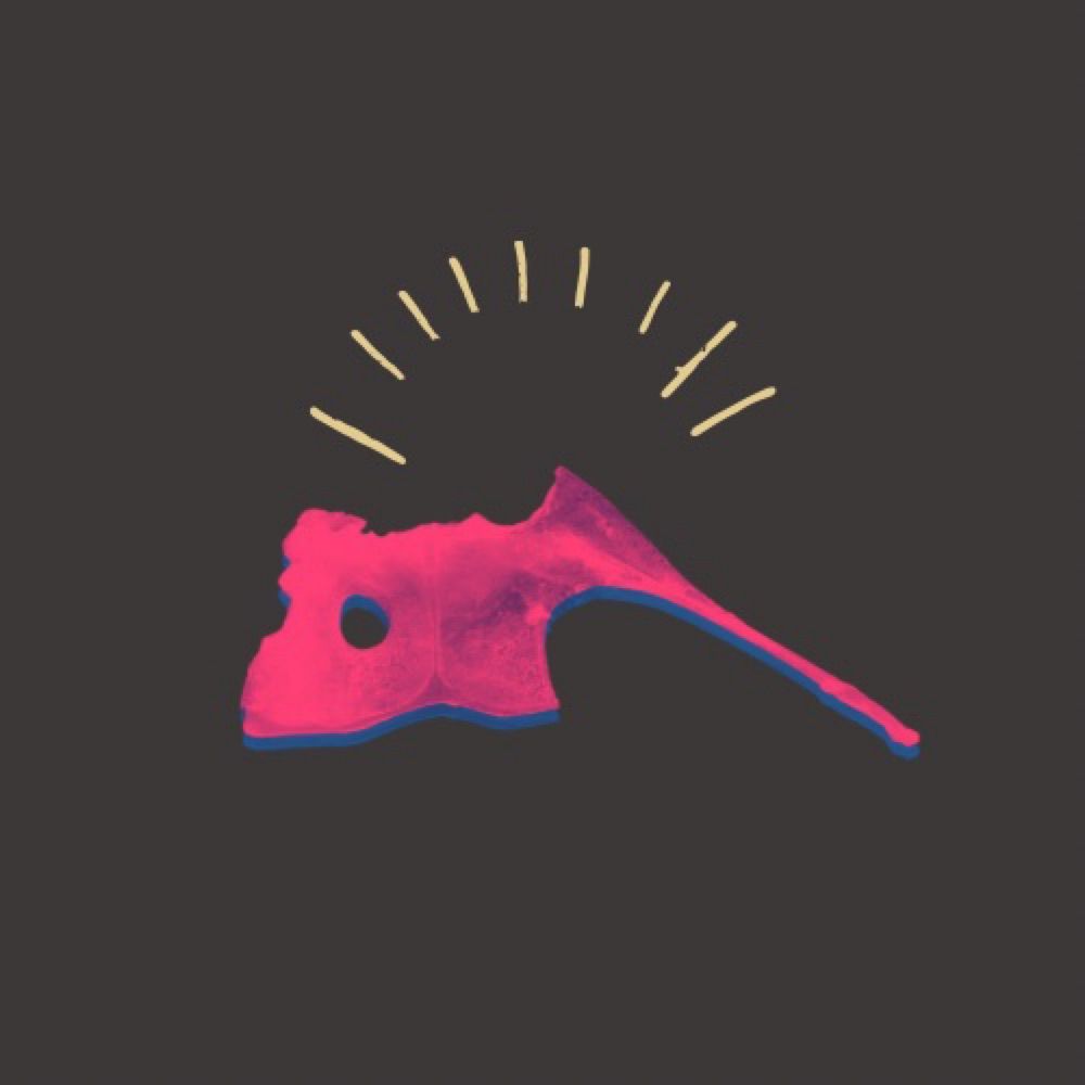 たいのたい