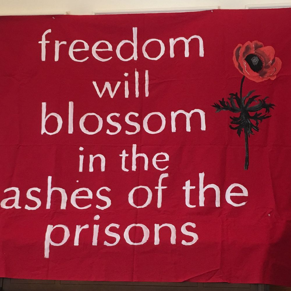 Michigan Abolition and Prisoner Solidarity (MAPS) 