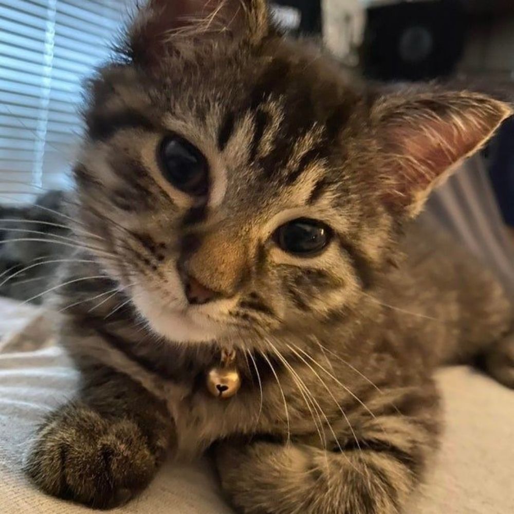 𝐁𝐥𝐨𝐠 𝐝𝐨 𝐝𝐢𝐚