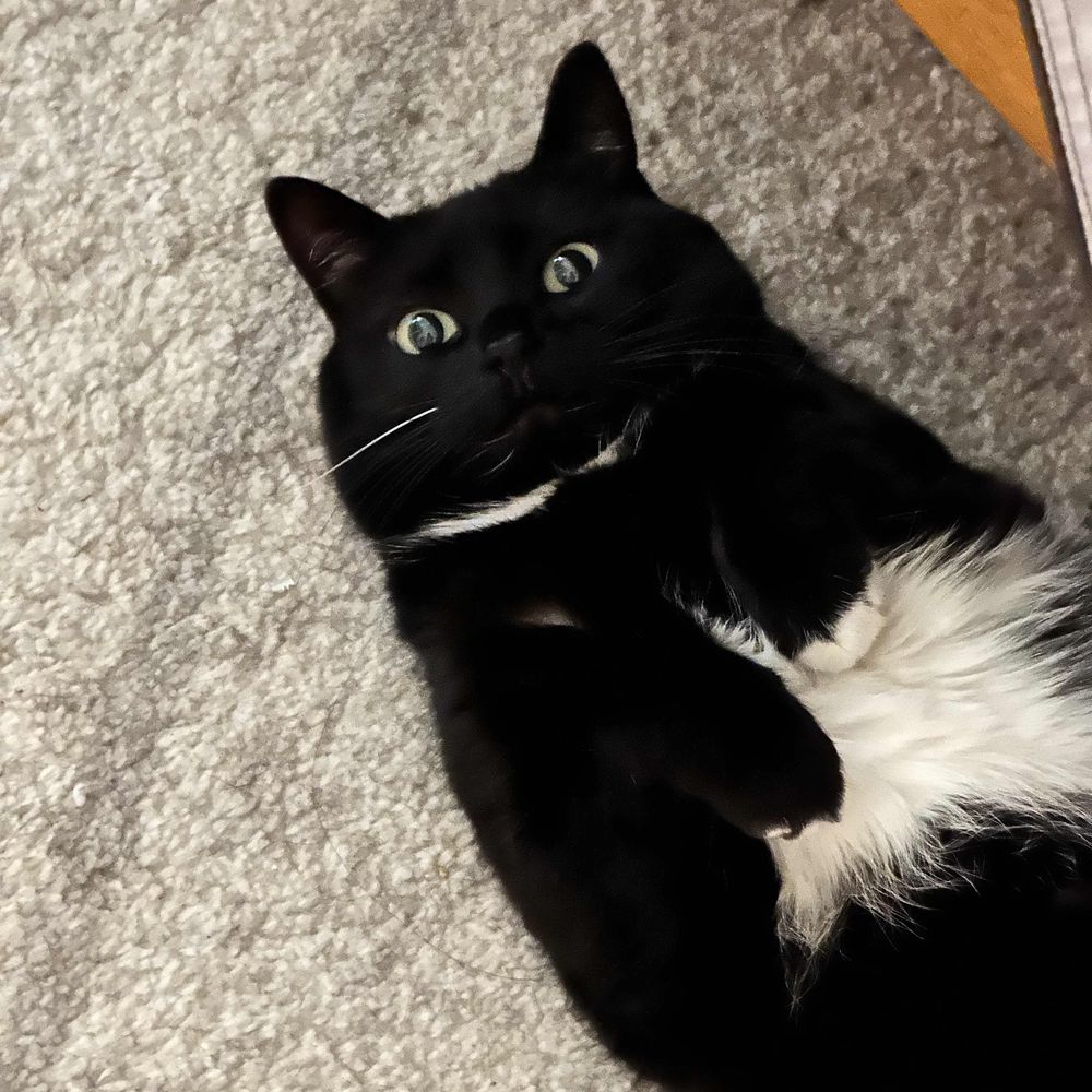 KatMu