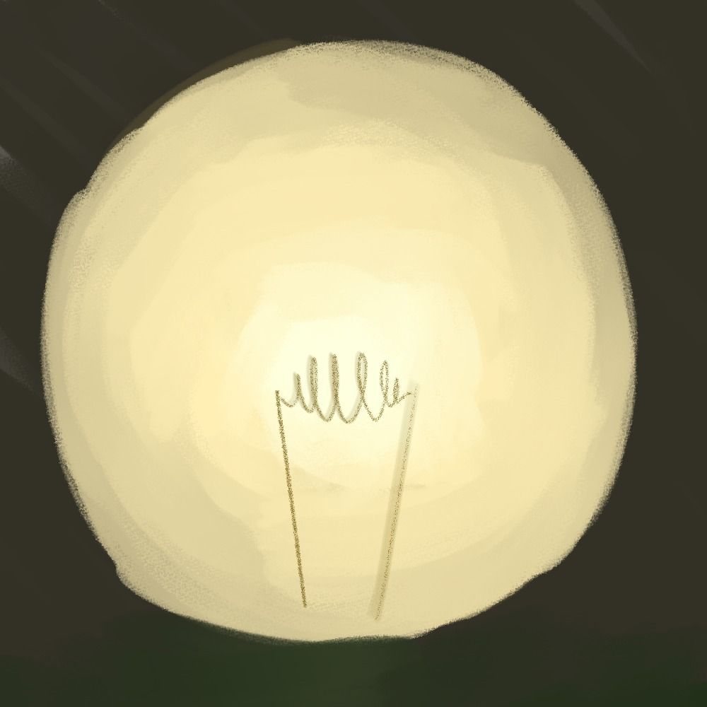 デンデラ豆電球