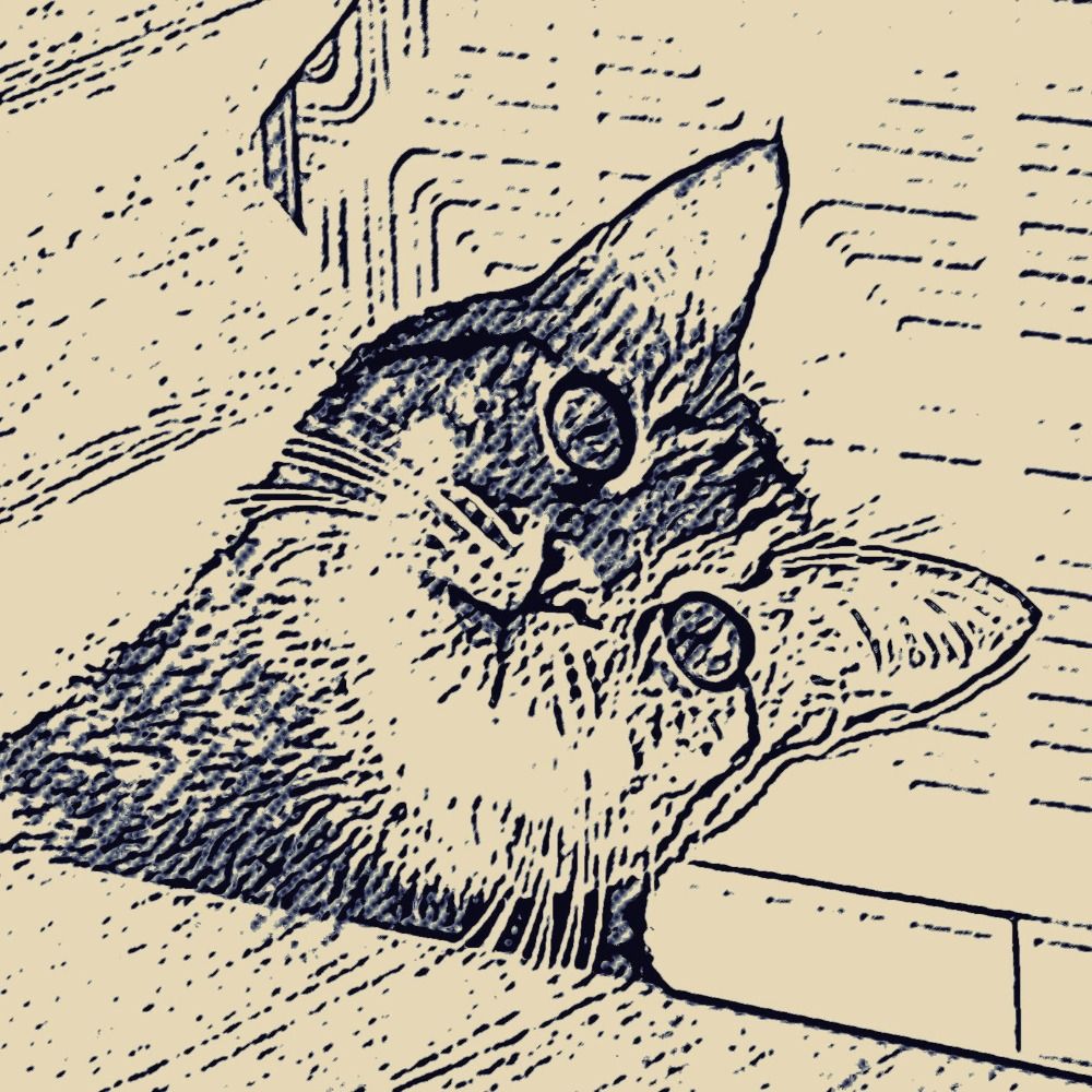 はまや