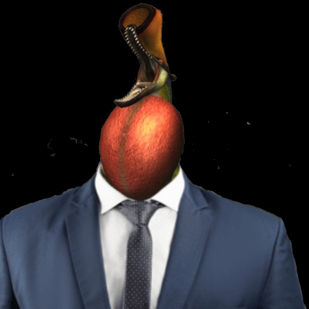 Qurupeco Lawyer