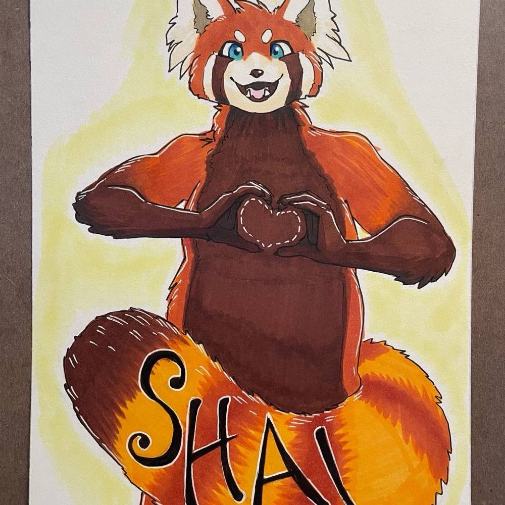 Shai the Shy