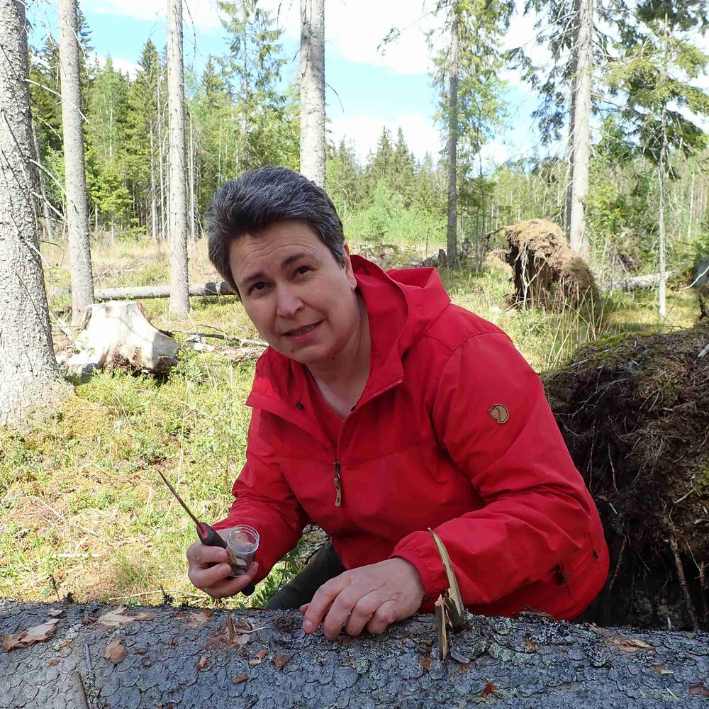 Tiina Ylioja