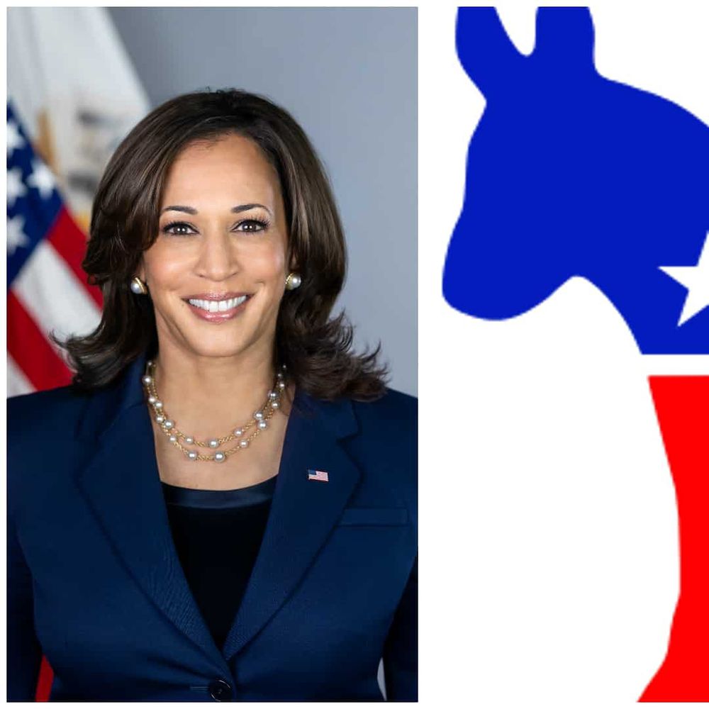 National Federation Of Young Democrats